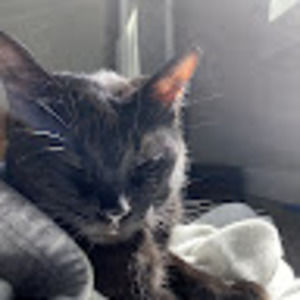 Meet your Posher, Kylie